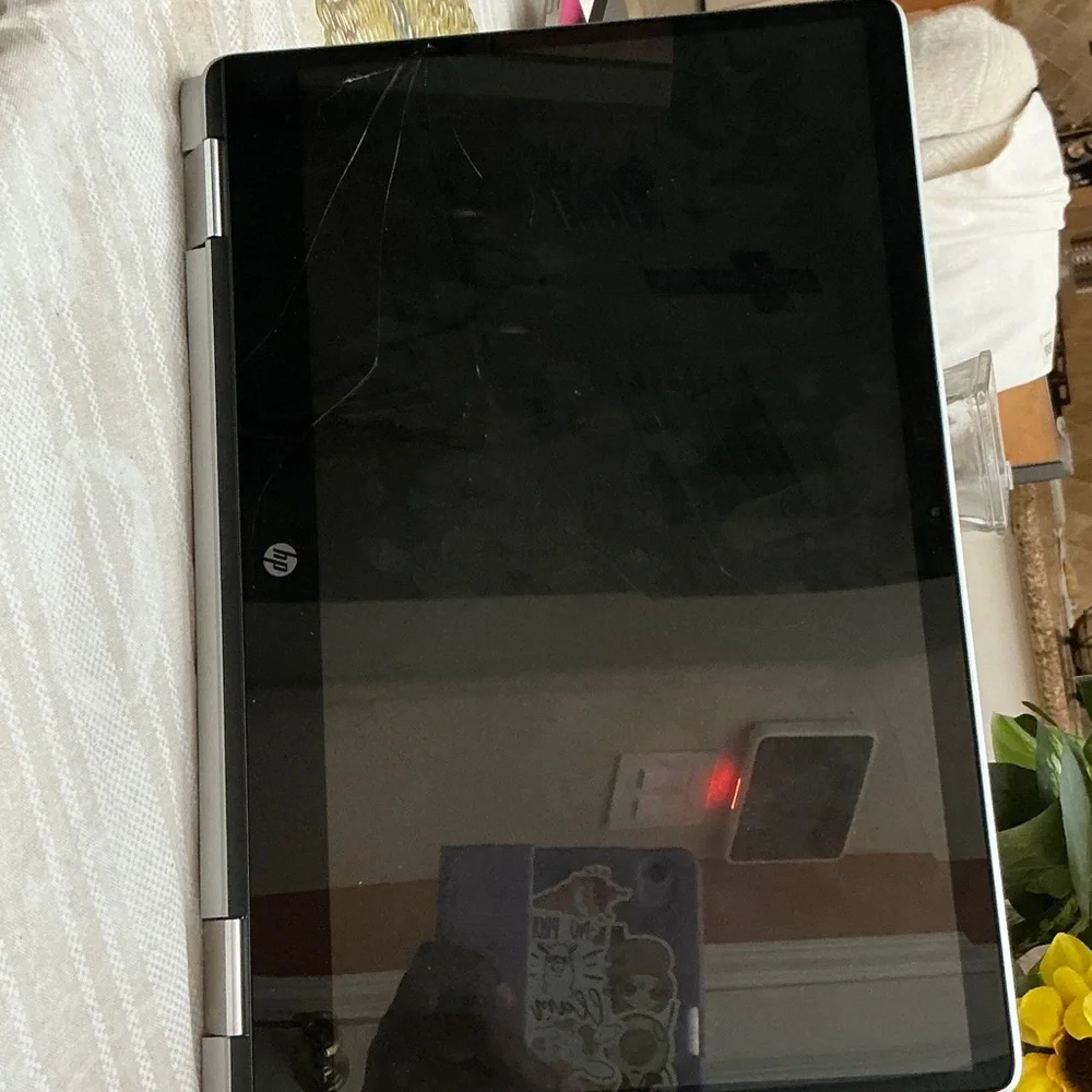 HP Chromebook - Sleek Silver Finish